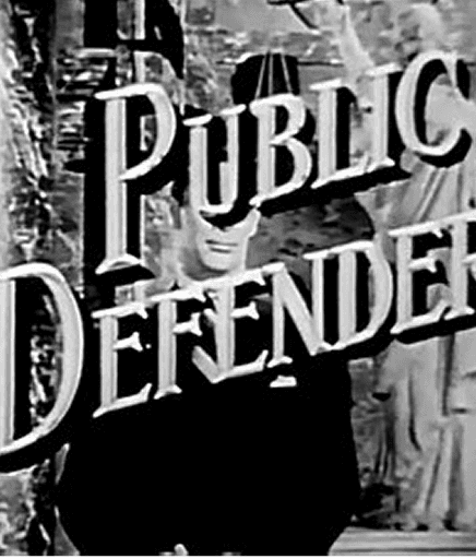 Public Defender